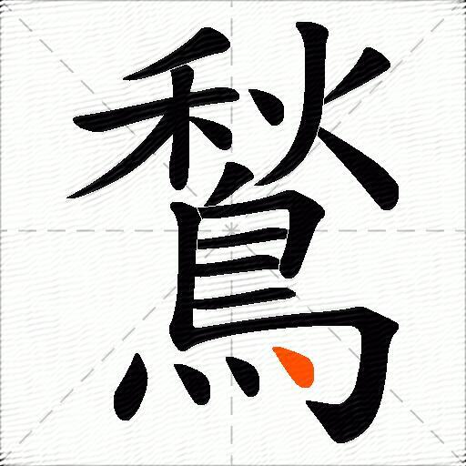 鶖