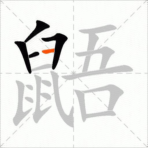 鼯
