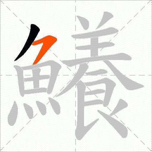 鱶