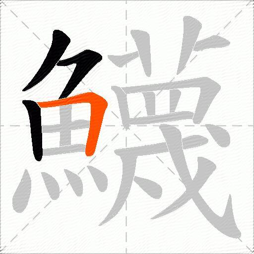鱴