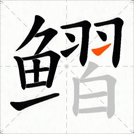鳛