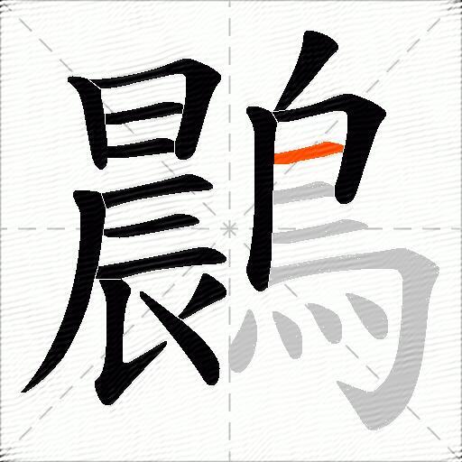 鷐