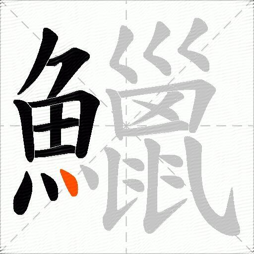 鱲