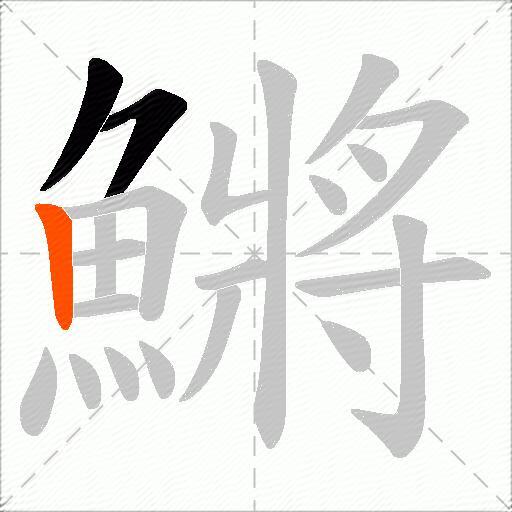 鱂