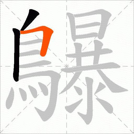 鸔