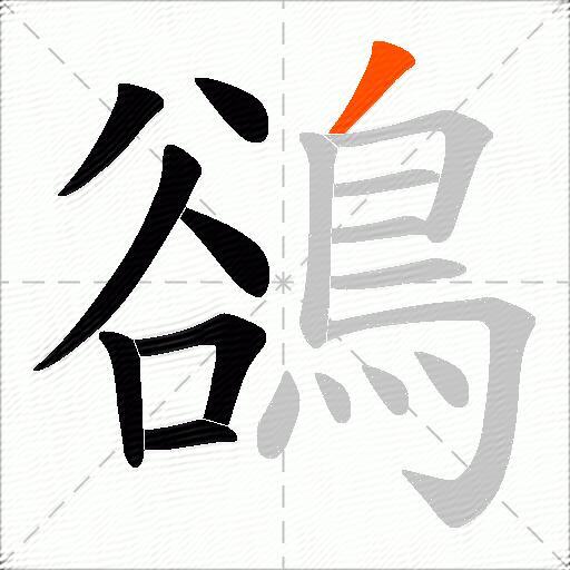 鵒