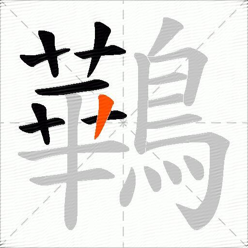 鷨