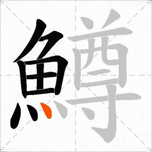 鱒