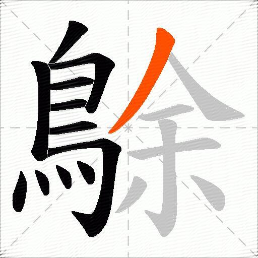 鵌