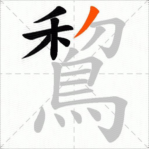 鵹