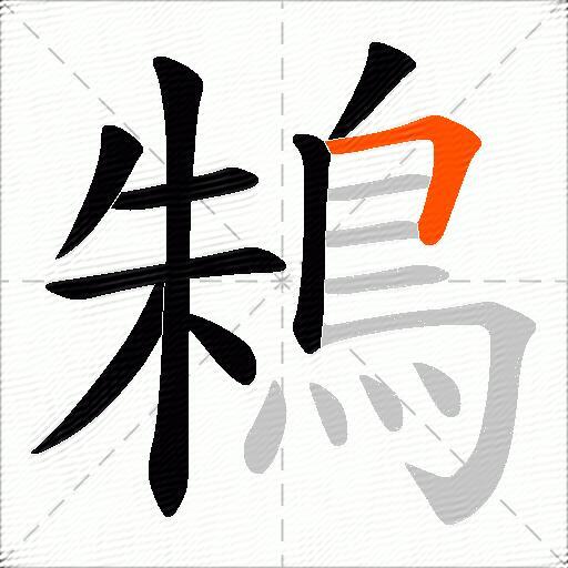 鴸