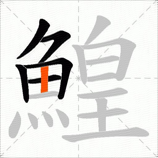 鰉