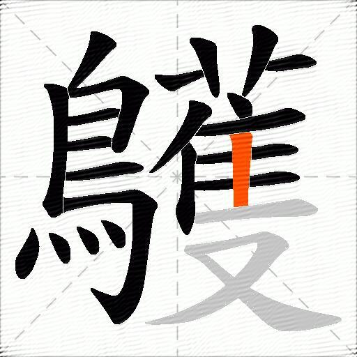 鸌