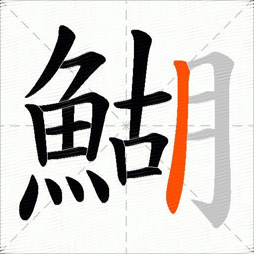 鰗