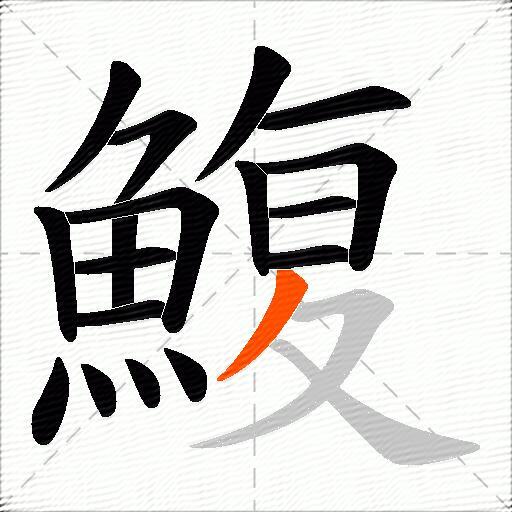 鰒