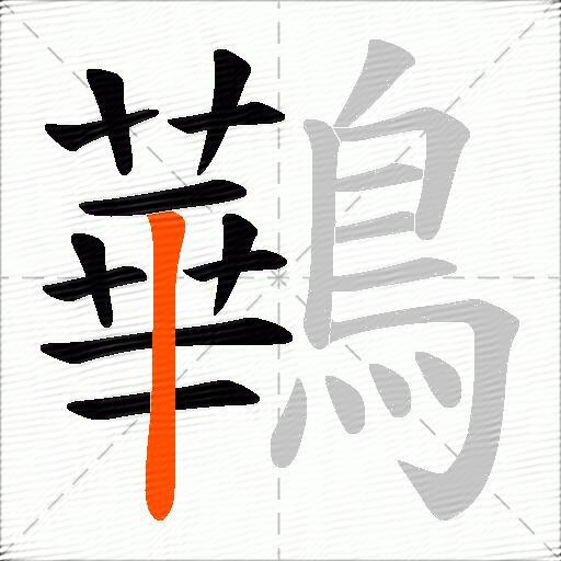 鷨