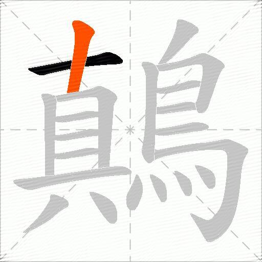 鷏