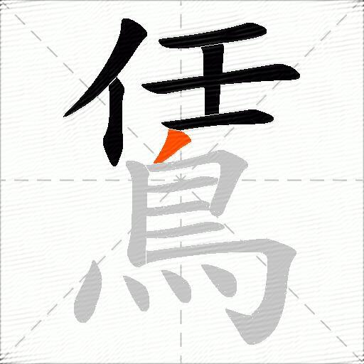 鵀