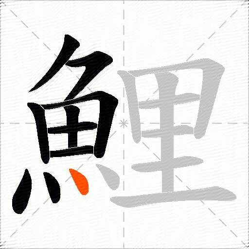 鯉