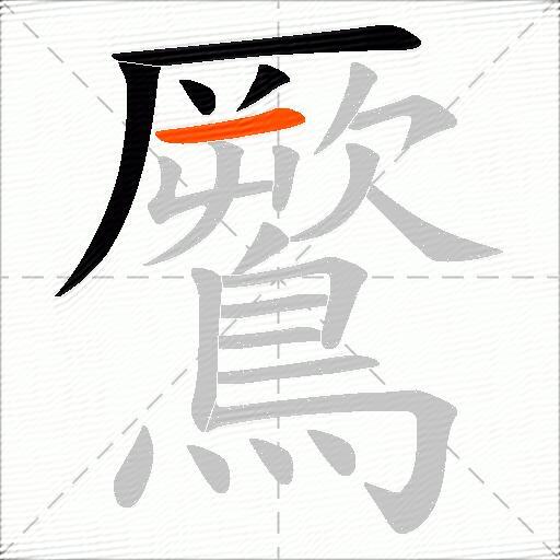 鷢