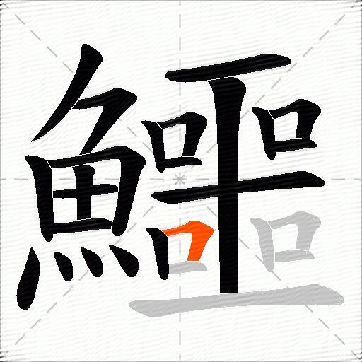 鱷