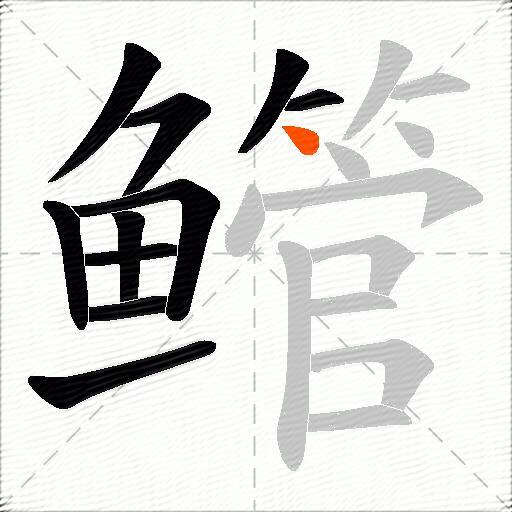 鳤