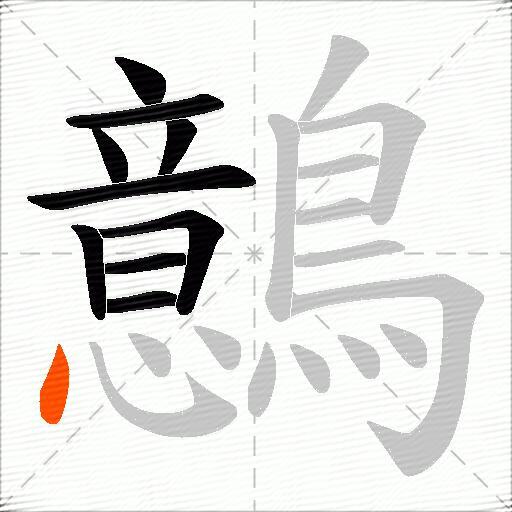 鷾