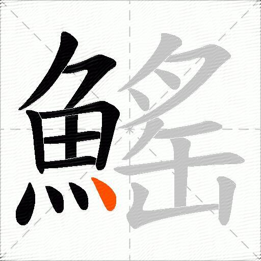 鰩