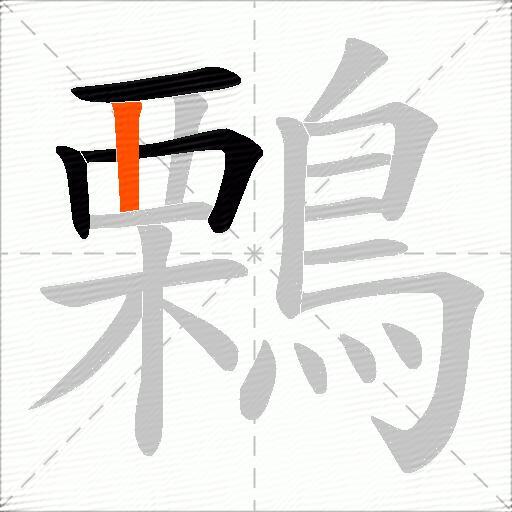 鷅