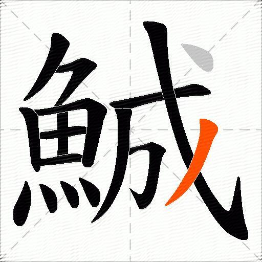 鯎