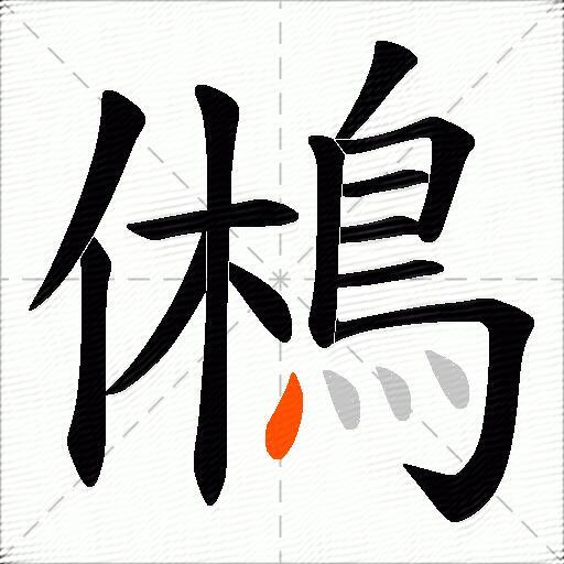 鵂