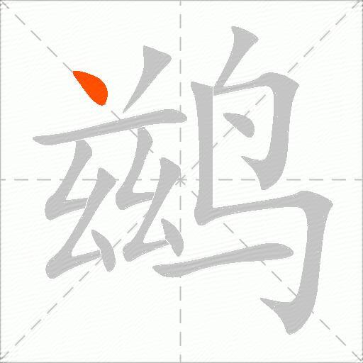 鹚