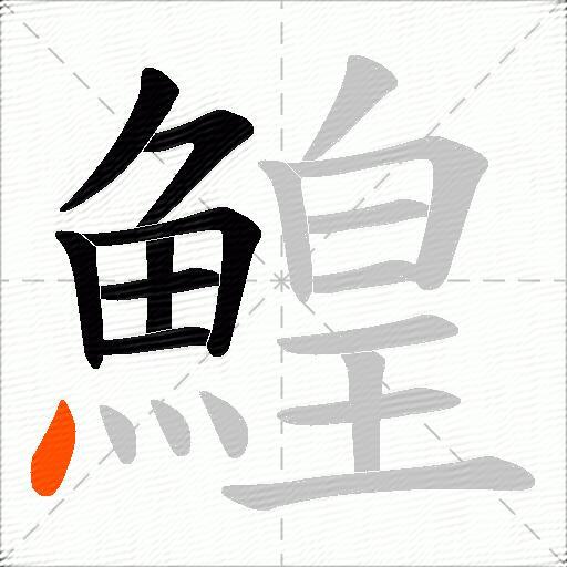 鰉