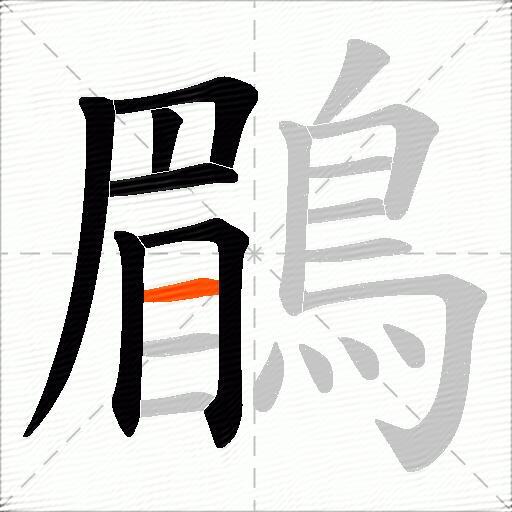 鶥