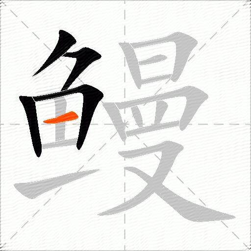 鳗
