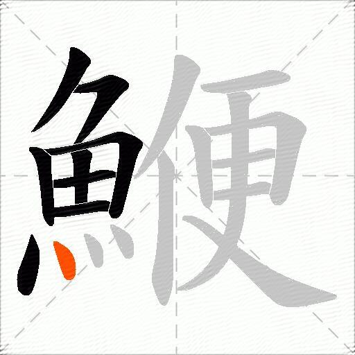 鯾