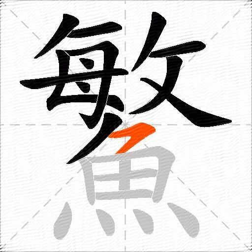 鰵