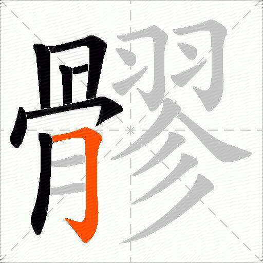 髎