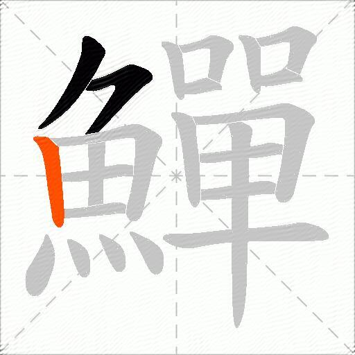 鱓