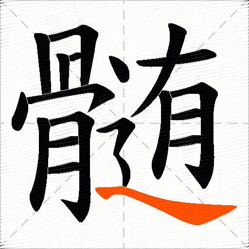 髄