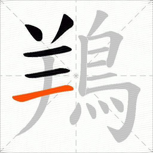 鴹