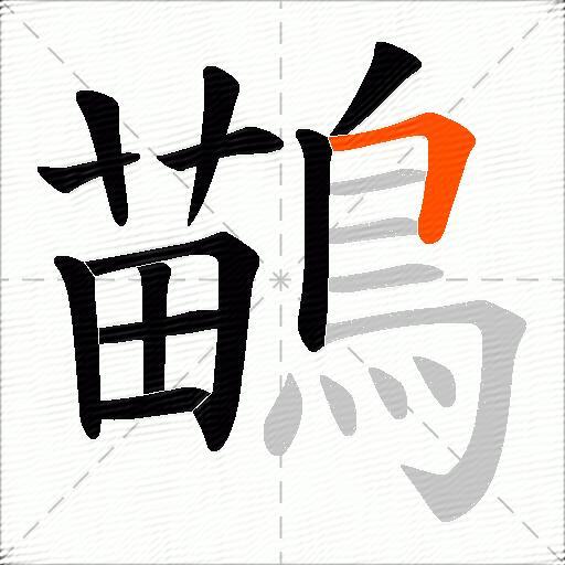 鶓