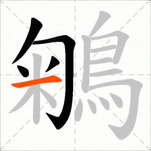 鵴