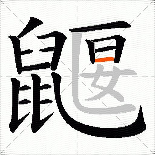 鼴