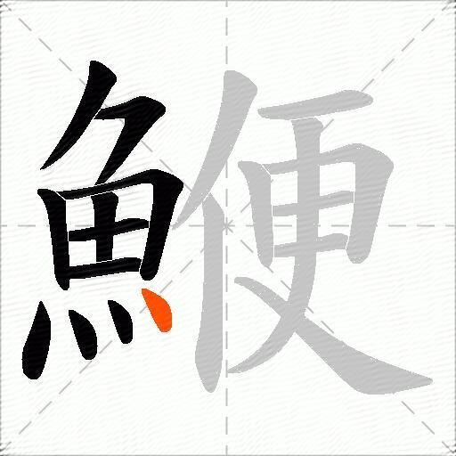 鯾