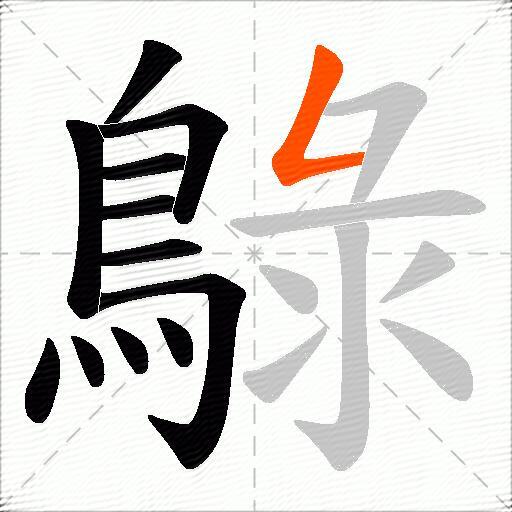 鵦
