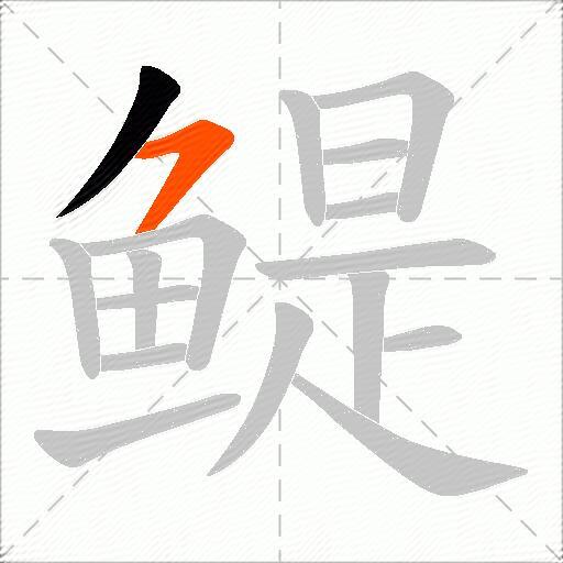 鳀