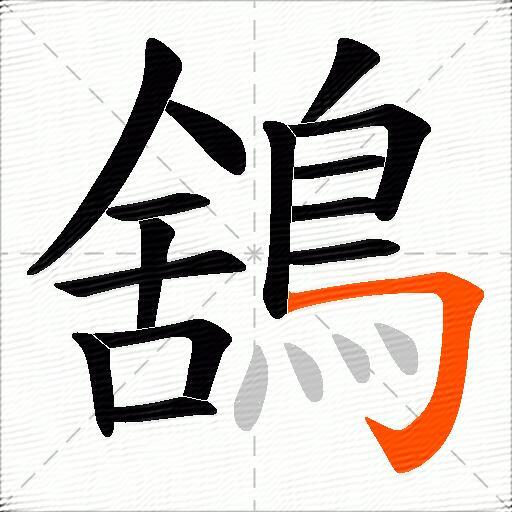 鵨