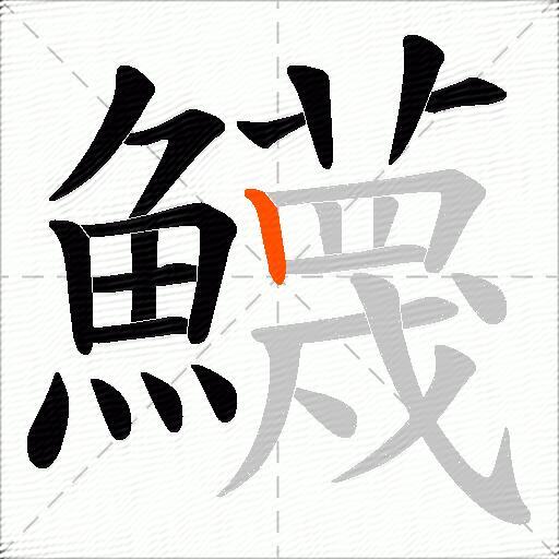 鱴
