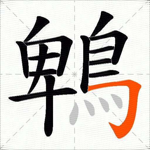 鵯